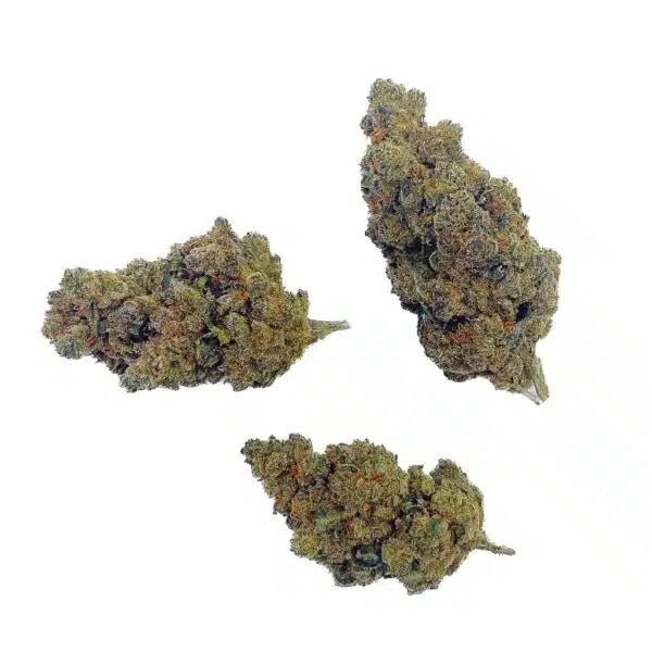 Amnesia Haze 30% CBN, Indoor-Hydro