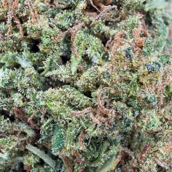 Tropicana Cheesecake — CBN 30% , Glass-House Cali