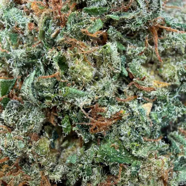 Chemdawg — CBN 25% , Indoor Cali