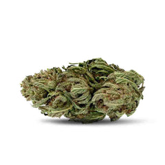 🇫🇷 Tangie Candy 30% THCX 2.0