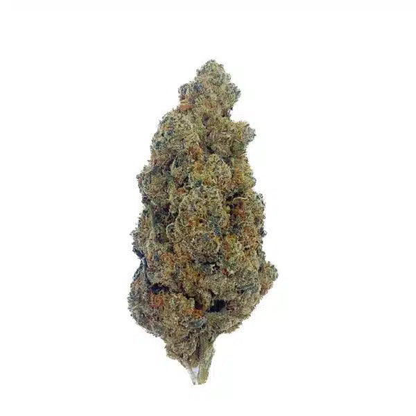 Amnesia Haze 30% CBN, Indoor-Hydro