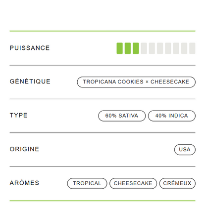 🇺🇸 Tropicana Cheesecake 25% THCX