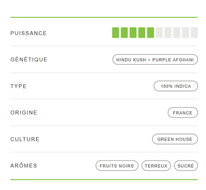 🇫🇷 Purple haze 50% THCX