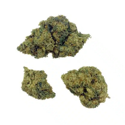 Amnesia Haze THCX