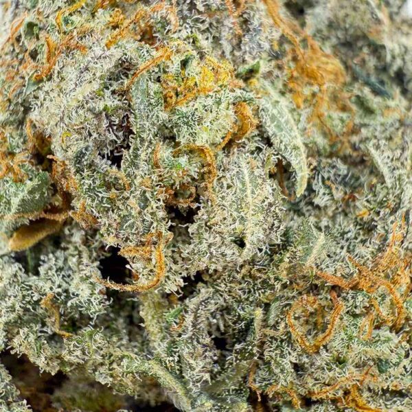 🇺🇸 ButterCream Gelato THCX 45% Indoor Cali