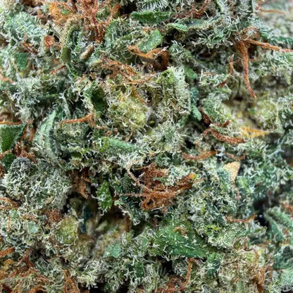 Chemdawg — CBN 25% , Indoor Cali