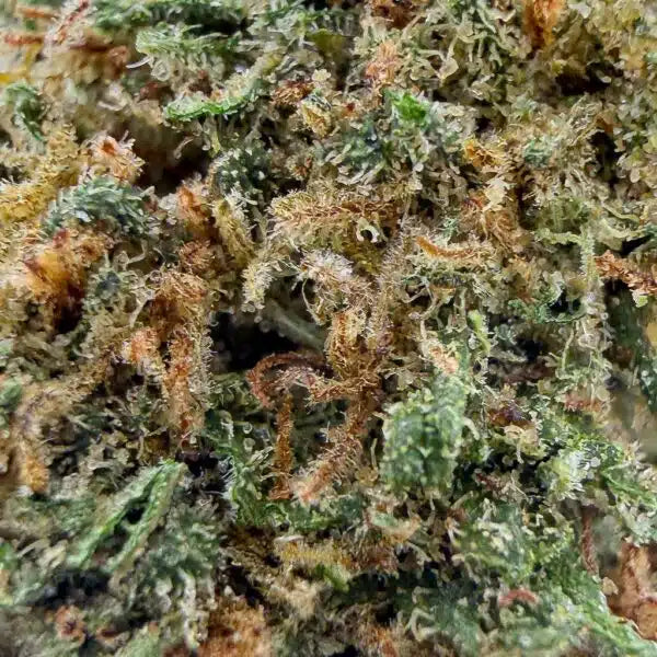 Hawaiian Skunk — CBN 30% , Glass-House