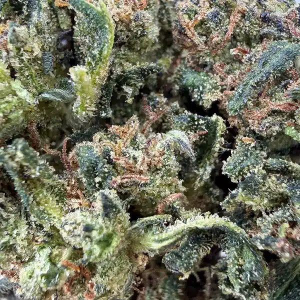 Lemon Orange THCX 60%