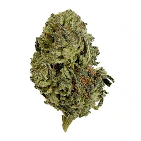 Tangie Candy THCX 2.0