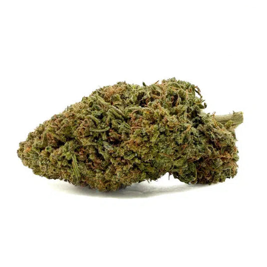 Tropicana Cheesecake — CBN 30% , Glass-House Cali