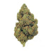 🇨🇭 Amnesia Haze 30% THCX