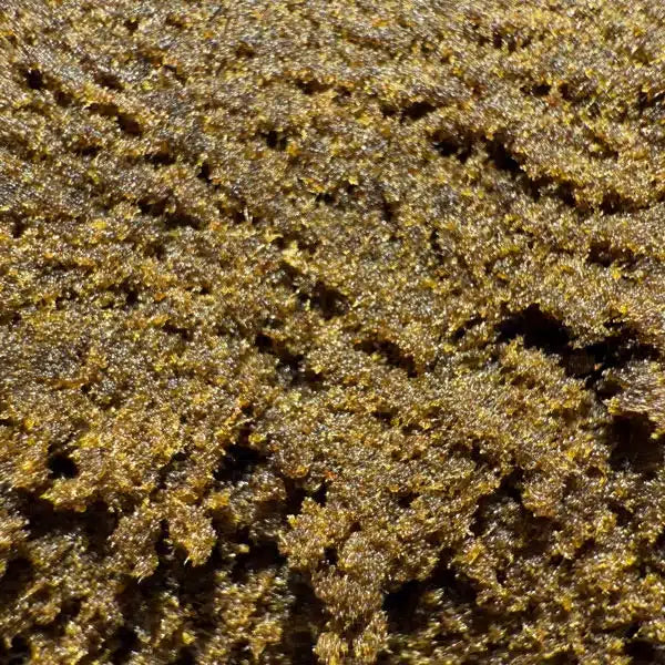 Zkittlez Hash — 20% CBD + 15% CBN